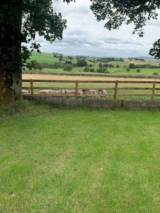 Ivy House Farm, Near Longnor Villa Longnor  Exterior foto