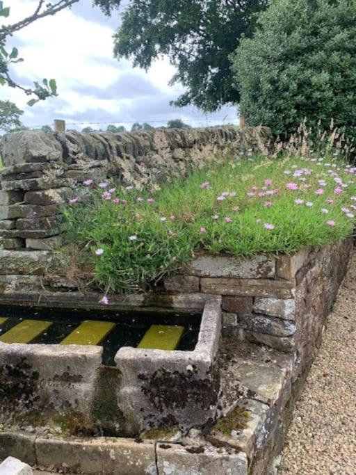 Ivy House Farm, Near Longnor Villa Longnor  Exterior foto